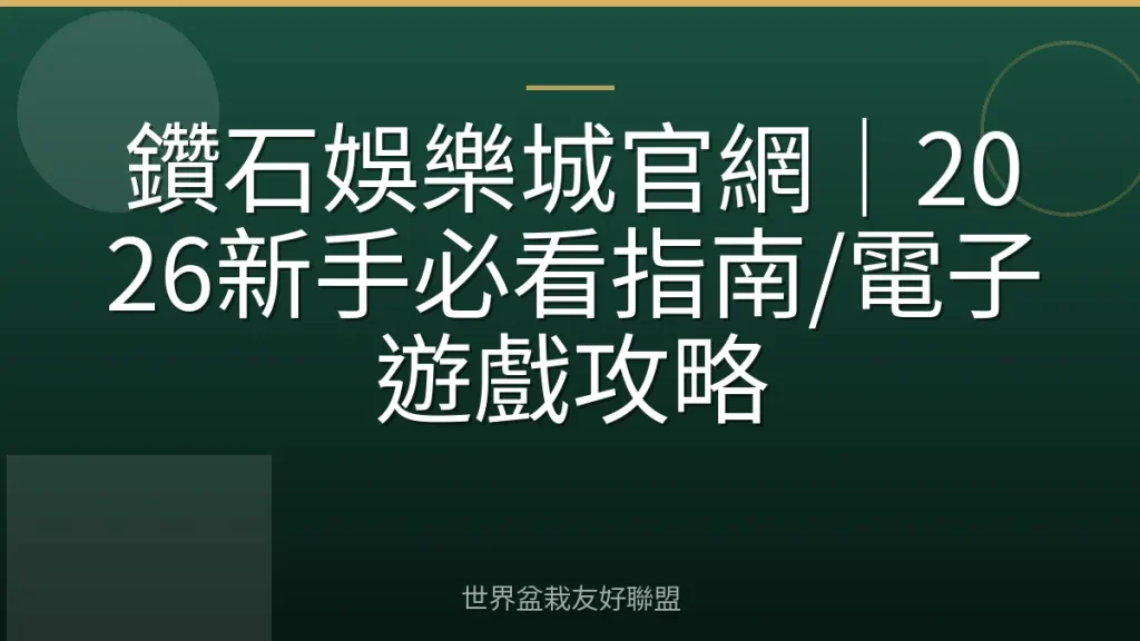鑽石娛樂城官網|2026新手必看指南/電子遊戲攻略