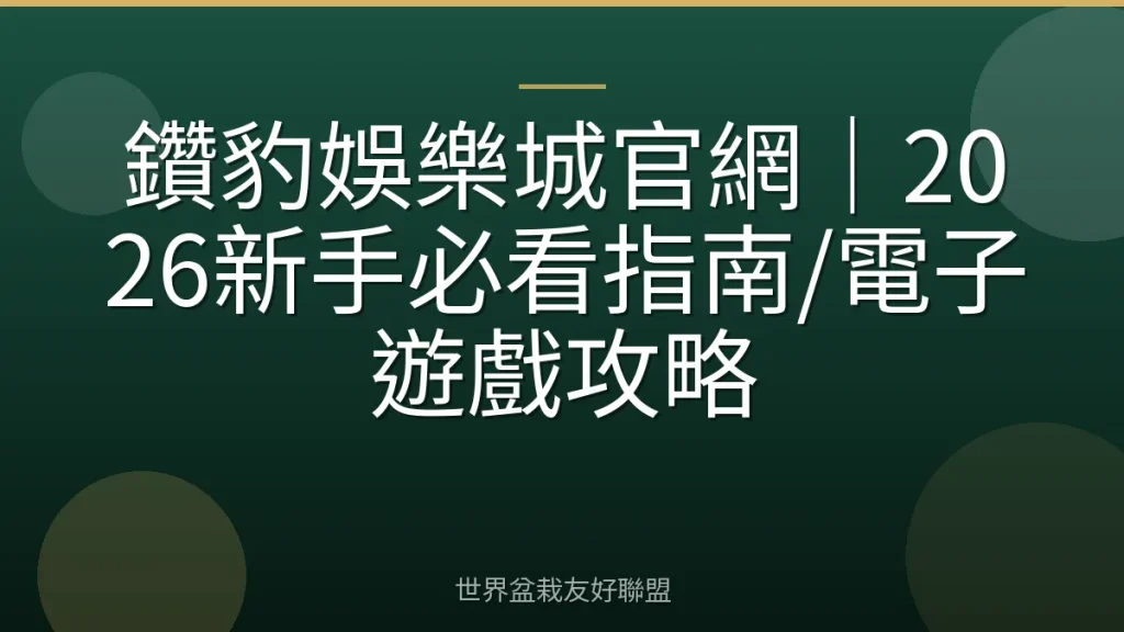 鑽豹娛樂城官網|2026新手必看指南/電子遊戲攻略