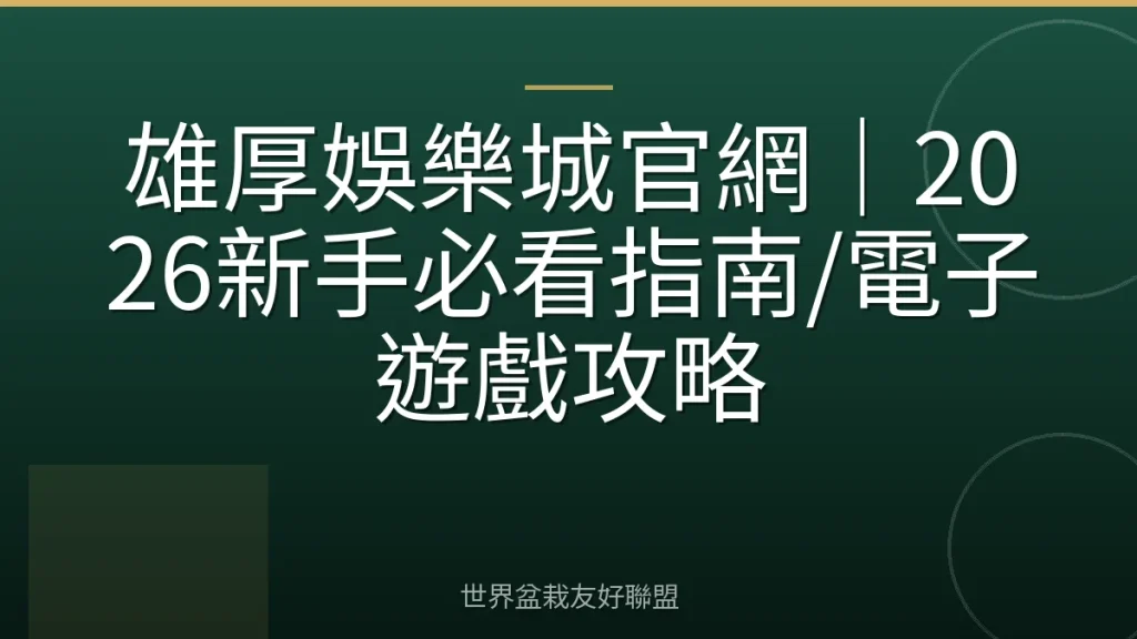 雄厚娛樂城官網|2026新手必看指南/電子遊戲攻略