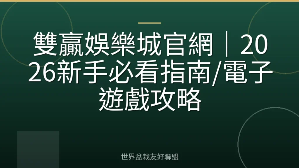 雙贏娛樂城官網|2026新手必看指南/電子遊戲攻略