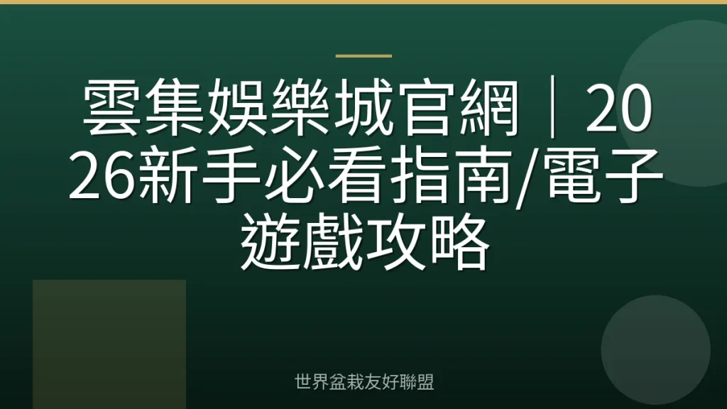 雲集娛樂城官網|2026新手必看指南/電子遊戲攻略