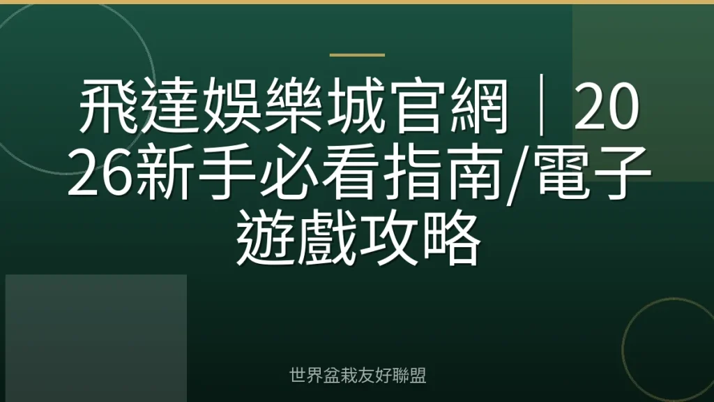 飛達娛樂城官網|2026新手必看指南/電子遊戲攻略