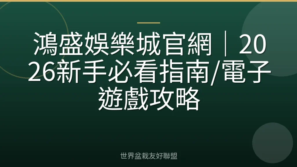鴻盛娛樂城官網｜2026新手必看指南/電子遊戲攻略