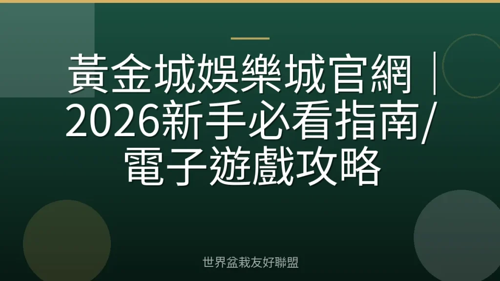 黃金城娛樂城官網|2026新手必看指南/電子遊戲攻略