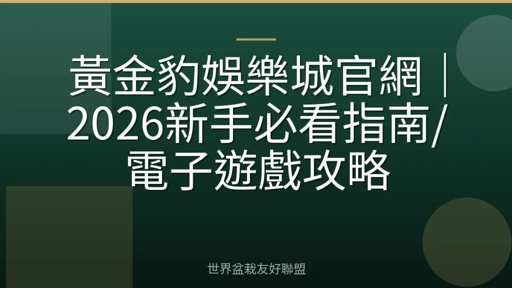 黃金豹娛樂城官網|2026新手必看指南/電子遊戲攻略
