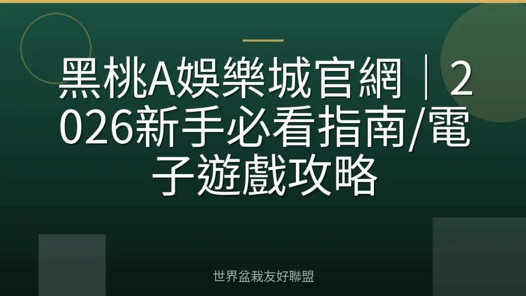 黑桃A娛樂城官網|2026新手必看指南/電子遊戲攻略