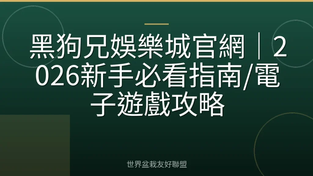 黑狗兄娛樂城官網|2026新手必看指南/電子遊戲攻略