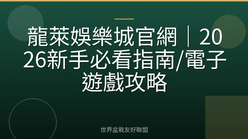 龍萊娛樂城官網|2026新手必看指南/電子遊戲攻略